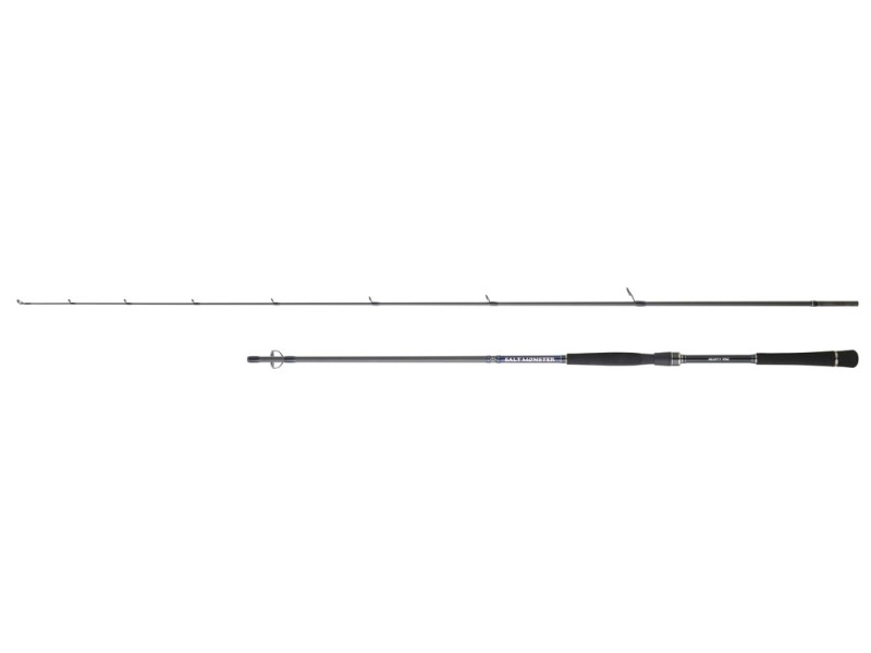 Canne Hearty Rise Salt Monster SW Spinning