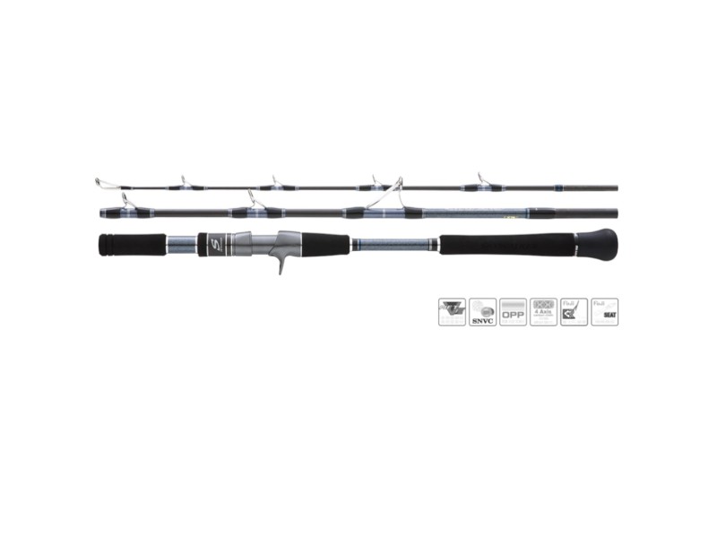 Canne Hearty Rise Skywalker Jigging Casting