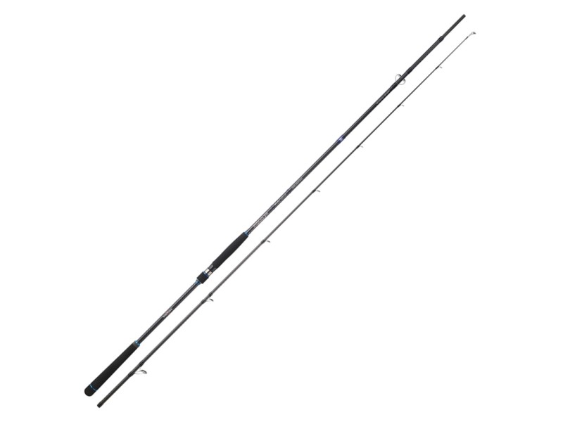 Canne Sakura Ryokan SW Spinning