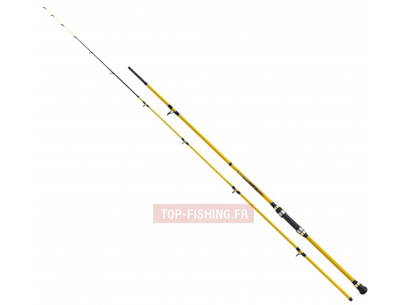 Canne Shimano Beastmaster Boat Quiver