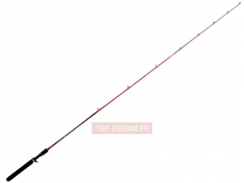 canne-tenryu-injection-bc-511ml.jpg