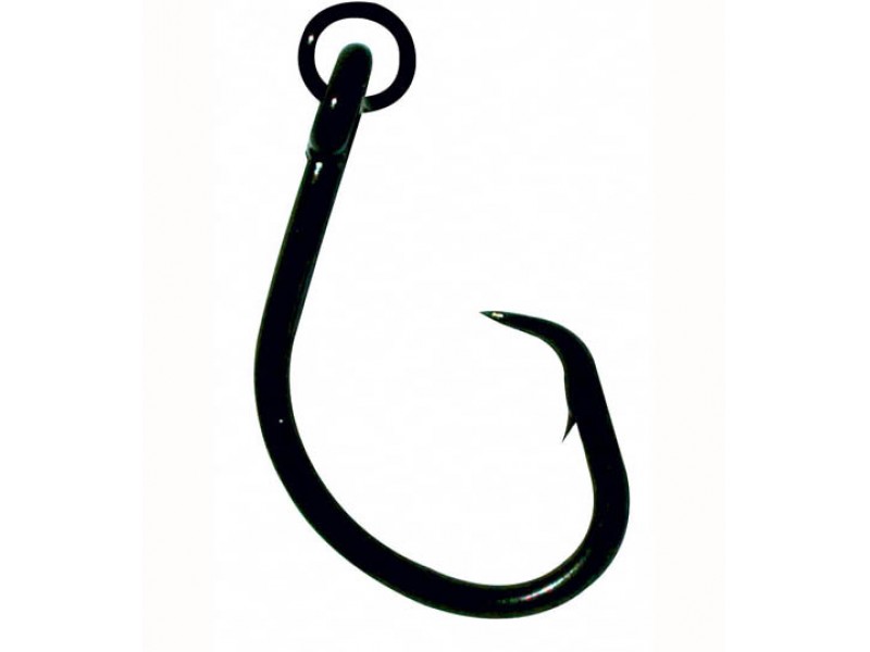 https://top-fishing.fr/images/articles/standard/hame-ons-eagle-claw-circle-hook-il-2020-g.jpg