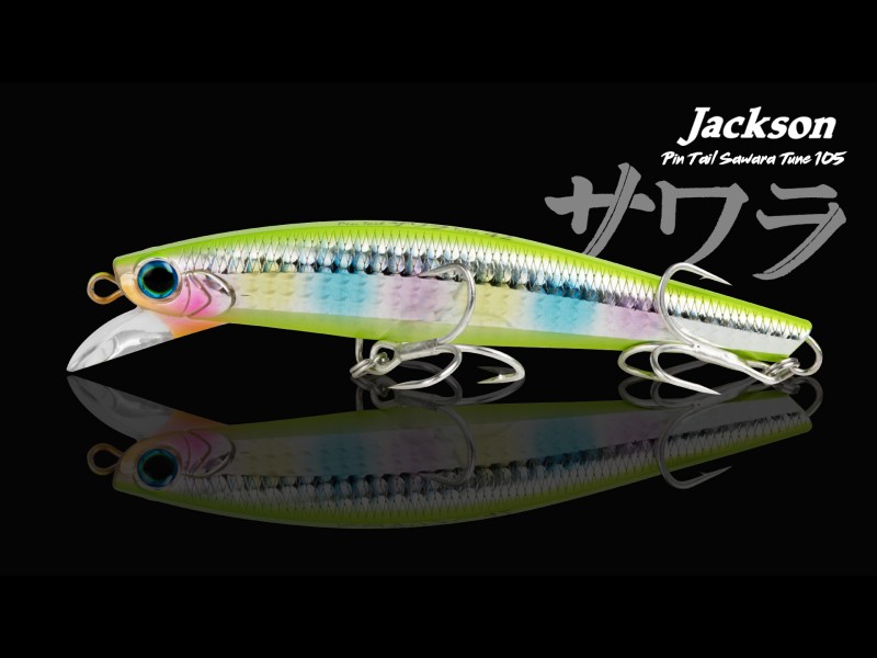 Leurre Jackson Pintail Sawara Tune 120mm