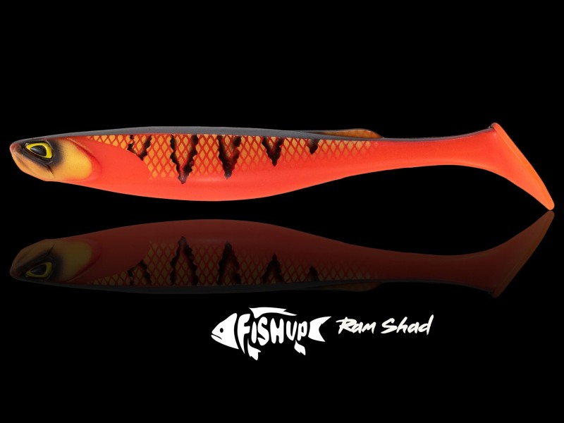 Leurre Souple Fishup Wizzle Shad 228mm