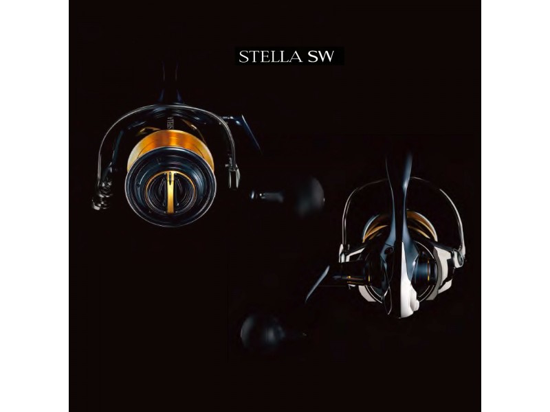 Vue 5) Moulinet Shimano Stella SW-C