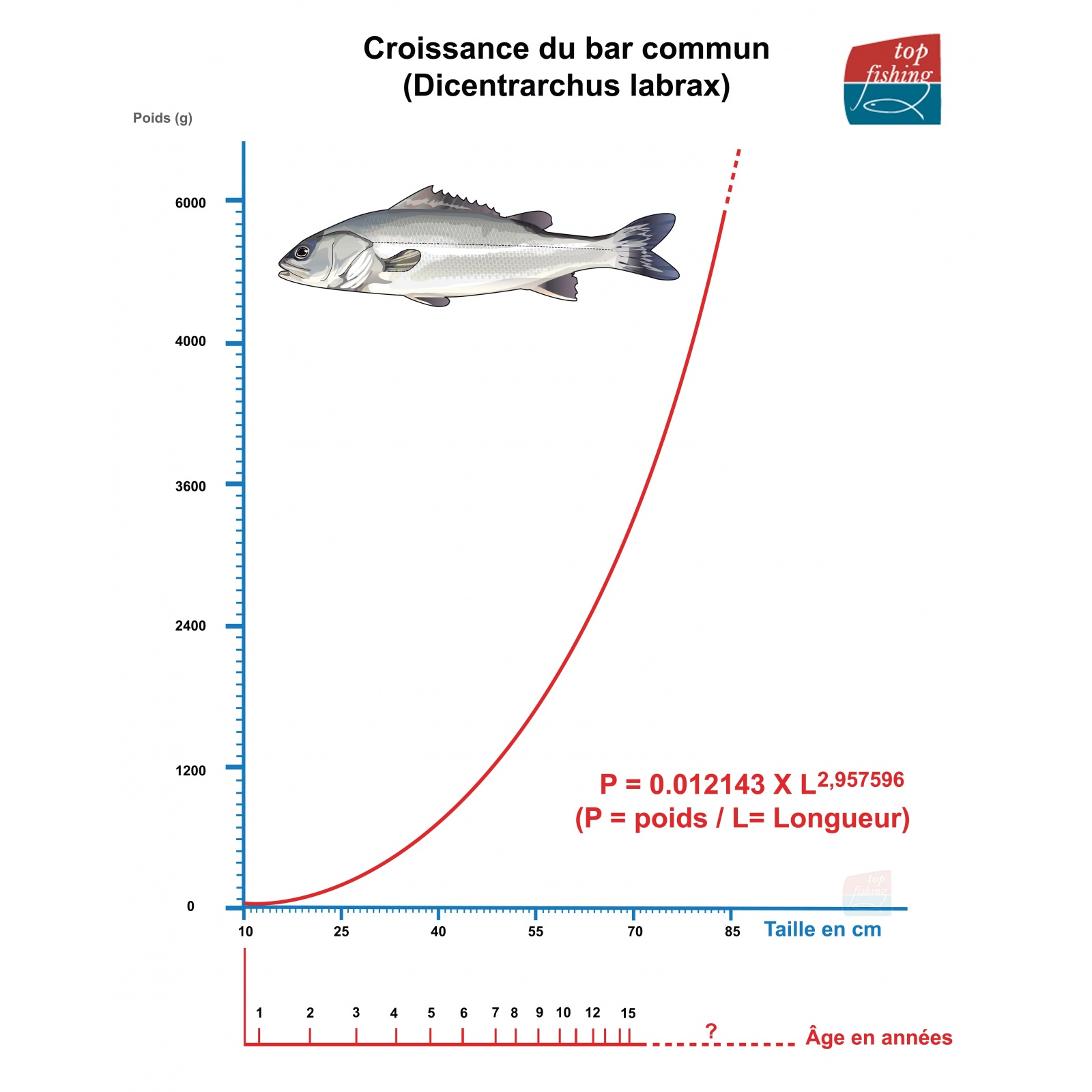 LE CHIFFRE] Plus d'un tiers des poissons pêchés n'arrivent jamais