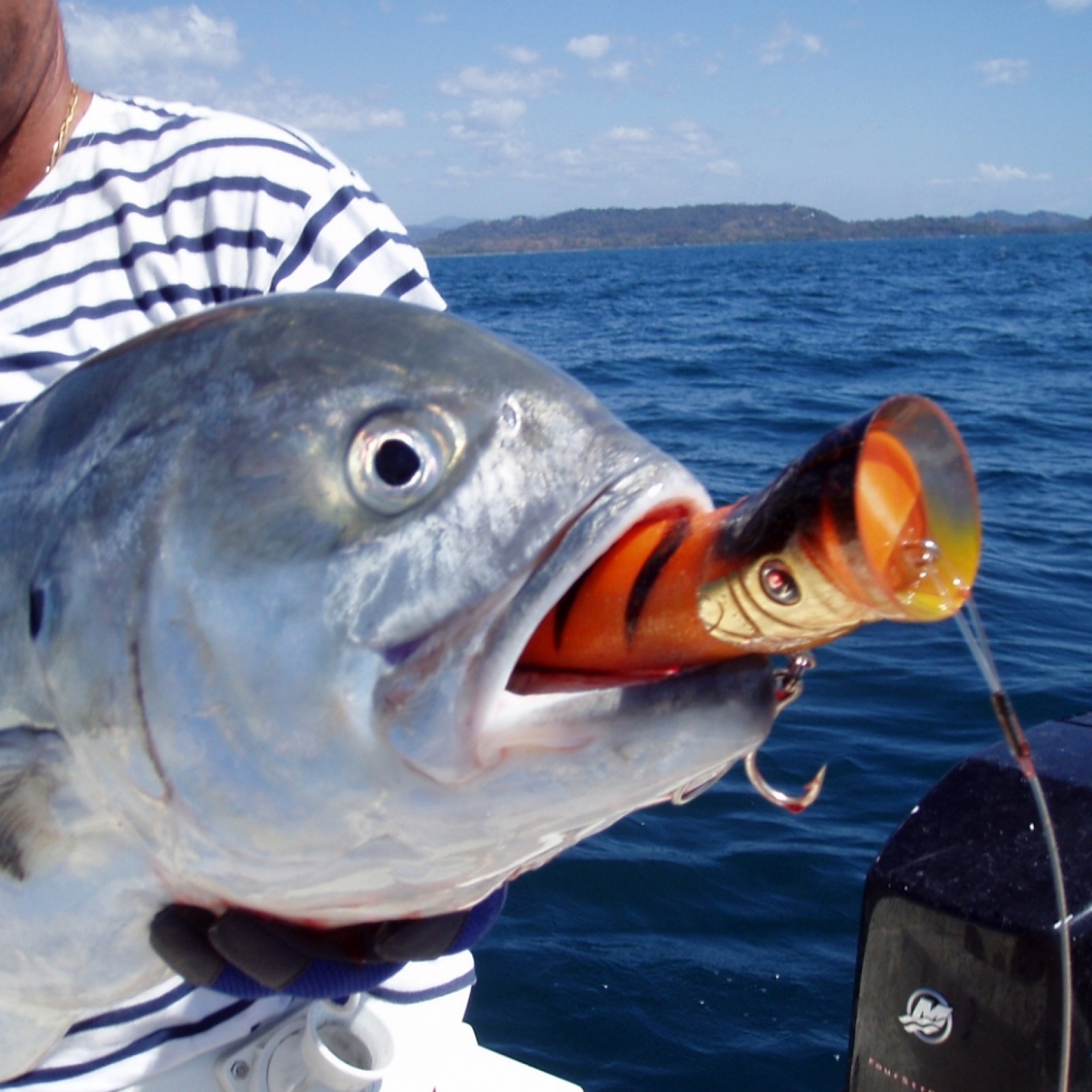 Pêche en mer : quels leurres utiliser pour la pêche en verticale ?