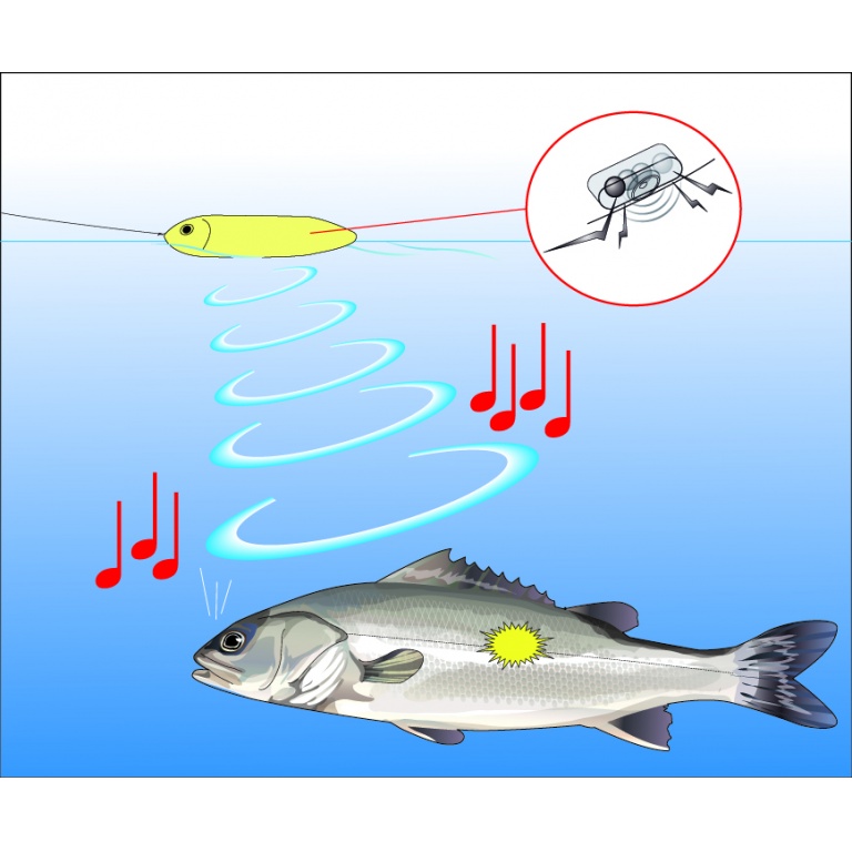 Les prédateurs sont attirés par les puissantes ondes basses fréquences du 3DB Pencil Yo-Zuri qu’ils ressentent sur leur ligne latérale Les prédateurs sont attirés par les puissantes ondes basses fréquences du 3DB Pencil Yo-Zuri qu’ils ressentent sur leur ligne latérale