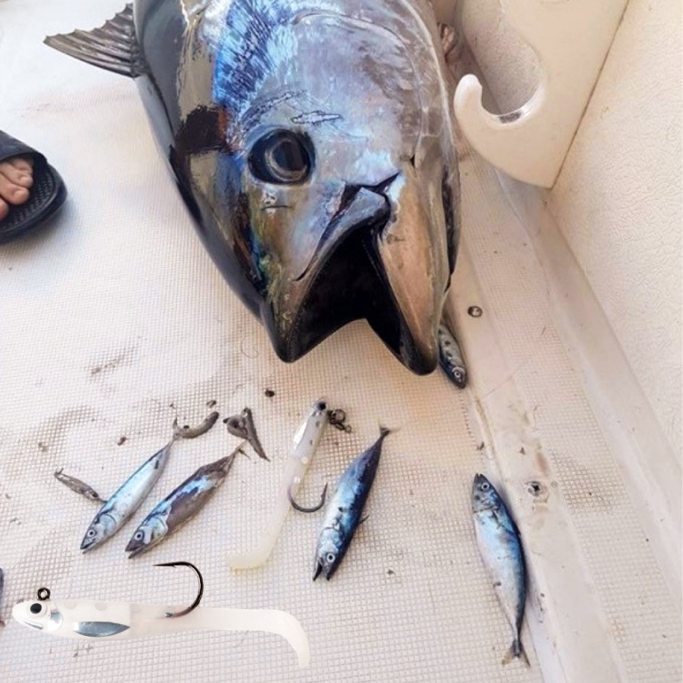 Le Natural Sardine Bertox est l’imitation parfaite d’un petit poissonnet !