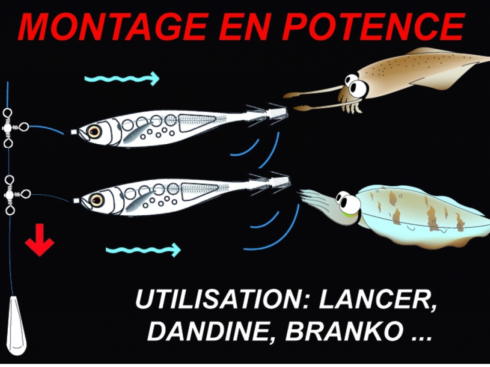 Montage turlutte à margates et calamars, Les pêcheurs de Saint Jean de  Monts