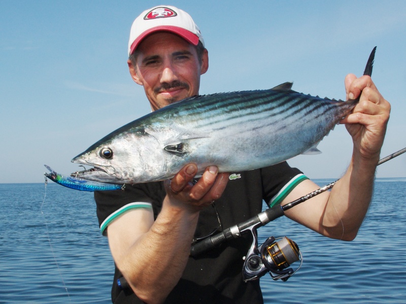 Quand les bonites sont difficiles, le réalisme du Crystal 3D Minnow SP Yo-Zuri fait souvent la différence !
