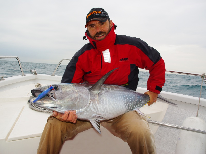 Le thon rouge peut être pêché au popper – pour le plus grand plaisir du pêcheur !