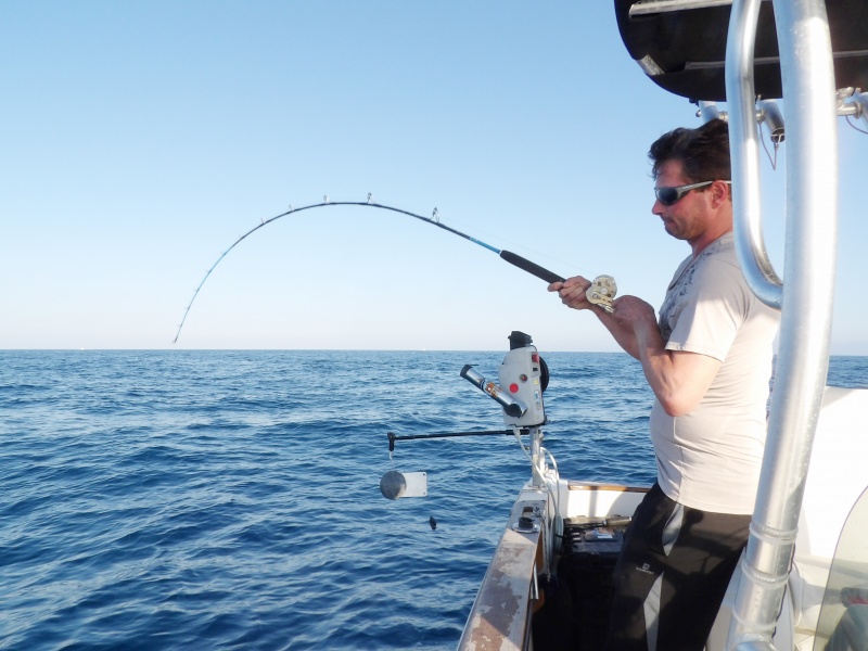 Gros combat après un long départ sur le downrigger !