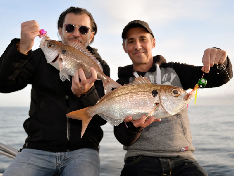 La sensibilité de la canne In Shore C198 Top Fishing le rend parfaite pour pêcher les dorades roses en grandes profondeurs !