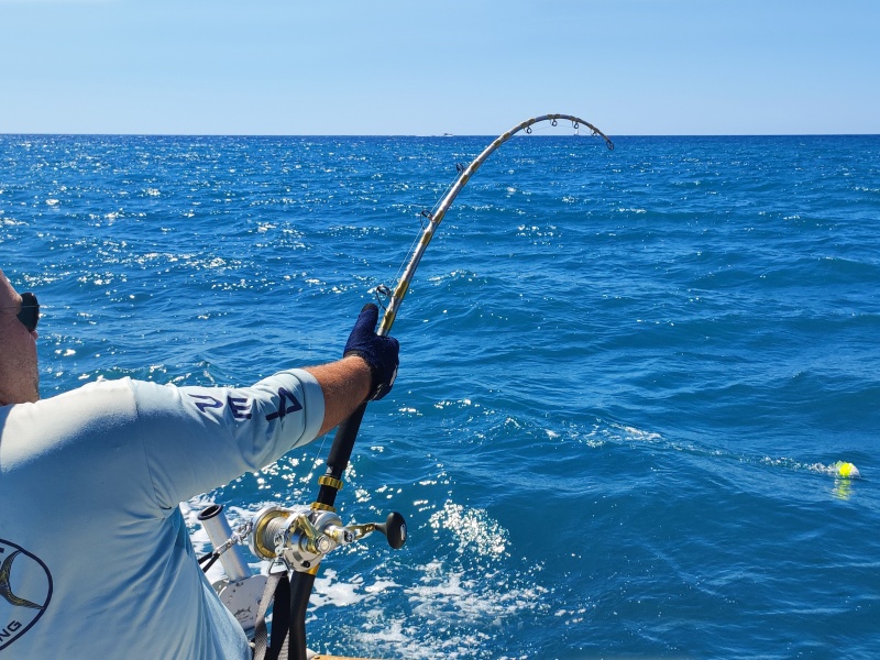 Le flotteur release Tuna Plug Top Game permet de suivre visuellement la direction de ligne en combat (ici un thon de plus de 300 kg !)