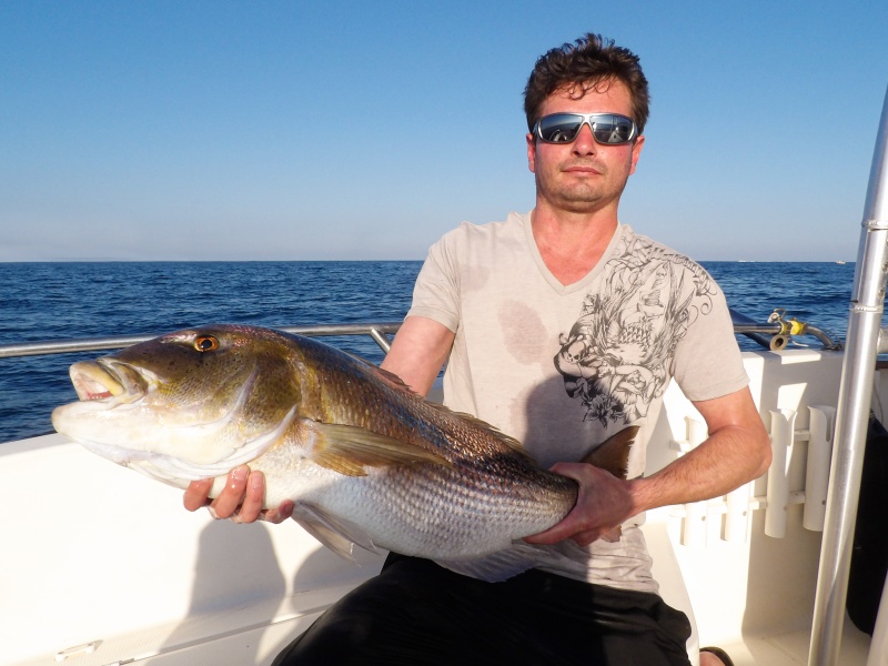 Résultat : un superbe denti de 9 kg pris avec un calamar trainé au downrigger !