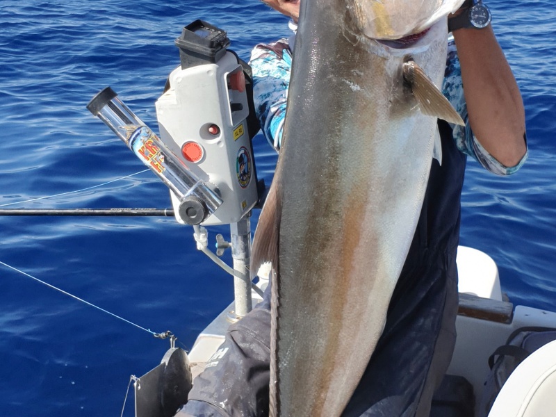 Le moniteur guide de pêche Fabien Harbers avec une sériole record prise au downrigger