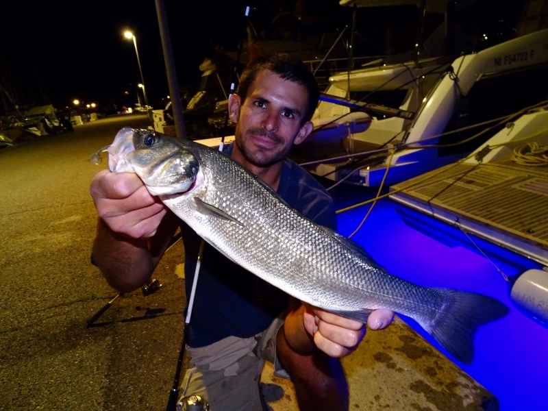 Beau bar pris en finesse avec un shad Elite Shiner Bass Assassin en pêche nocturne