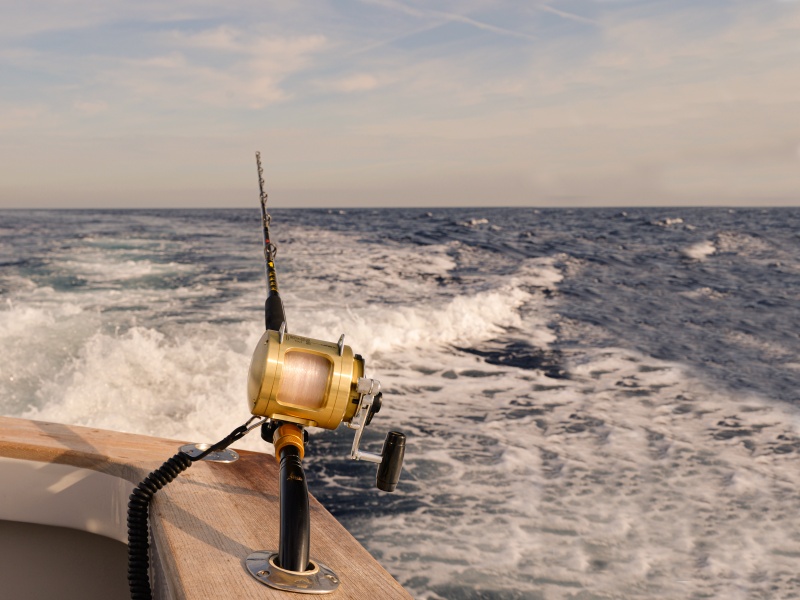 Combat avec un thon pris en traine rapide Pêcher le thon à la traîne est une technique très efficace et ultra simple !