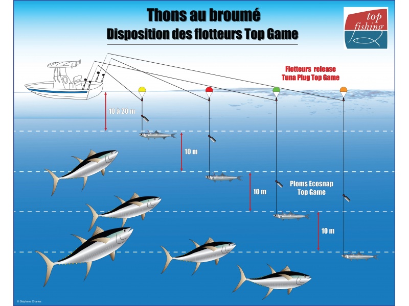 Disposition optimale des flotteurs release Tuna Plug associés aux plombs Ecosnap Top Game