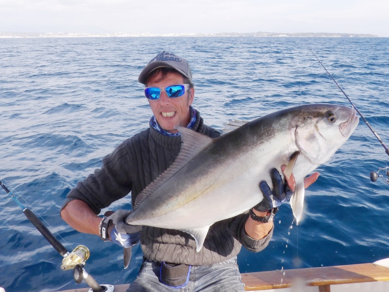 Encore une grosse sériole prise au downrigger par le moniteur guide de pêche Fabien Harbers !