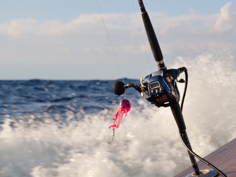 L’Omega Slider Head X-Paragon est parfait pour les pêches très profondes !