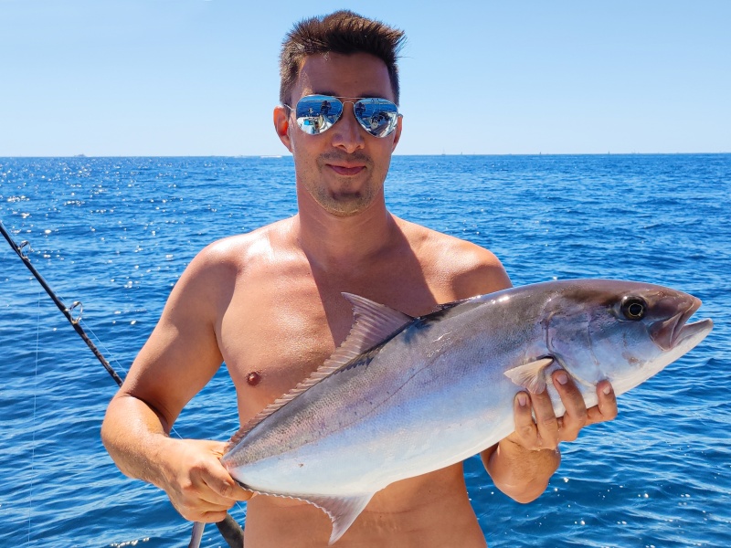 La technique du downrigger permet de pêcher les sérioles même lors des saisons chaudes !