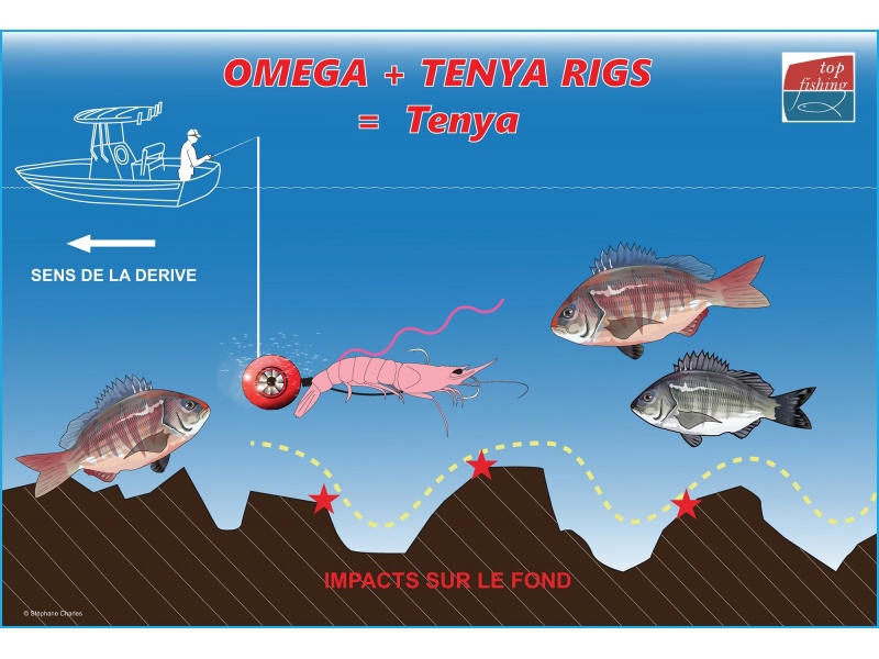Animation de l’Omega Slider Paragon + assist Omega Tenya Rigs (configuration Tenya