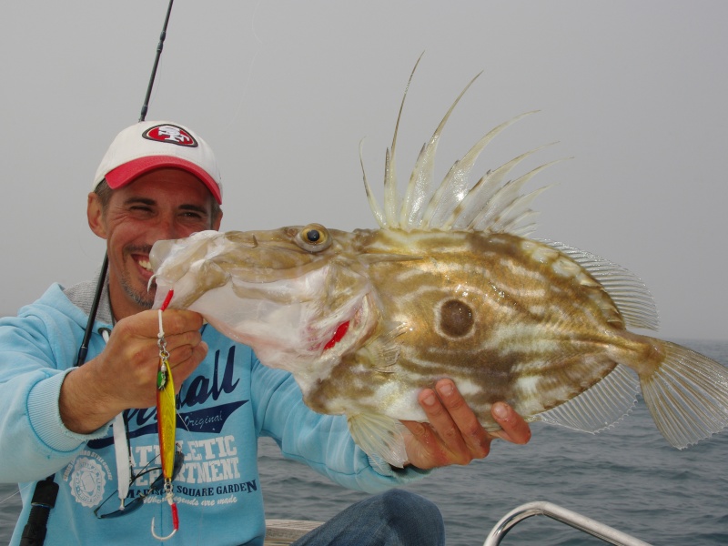 Beau Saint-Pierre pris au slow jig Hayabusa