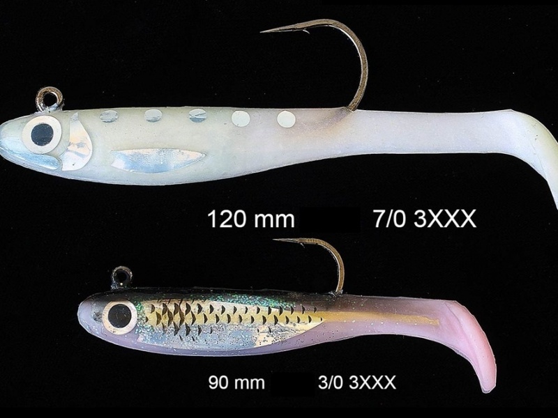 Le Natural Sardine Bertox est le seul shad à thons qui existe en 5 tailles différentes !