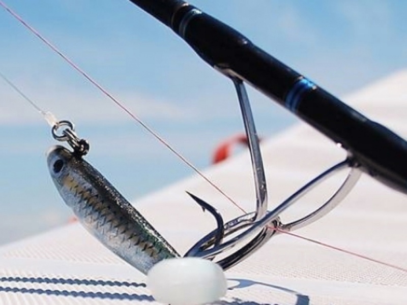 : Le Natural Sardine Bertox est le seul shad à thons qui existe en 5 tailles différentes !