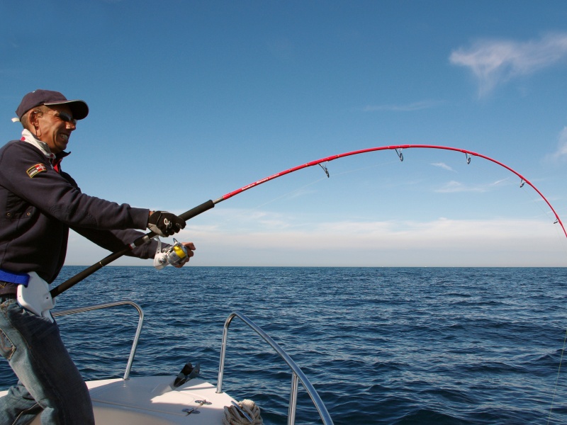 Pêcher avec de petits minnows ultra denses est très efficace sur les thons difficiles ! 