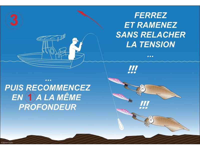 Aucune description Aucune description