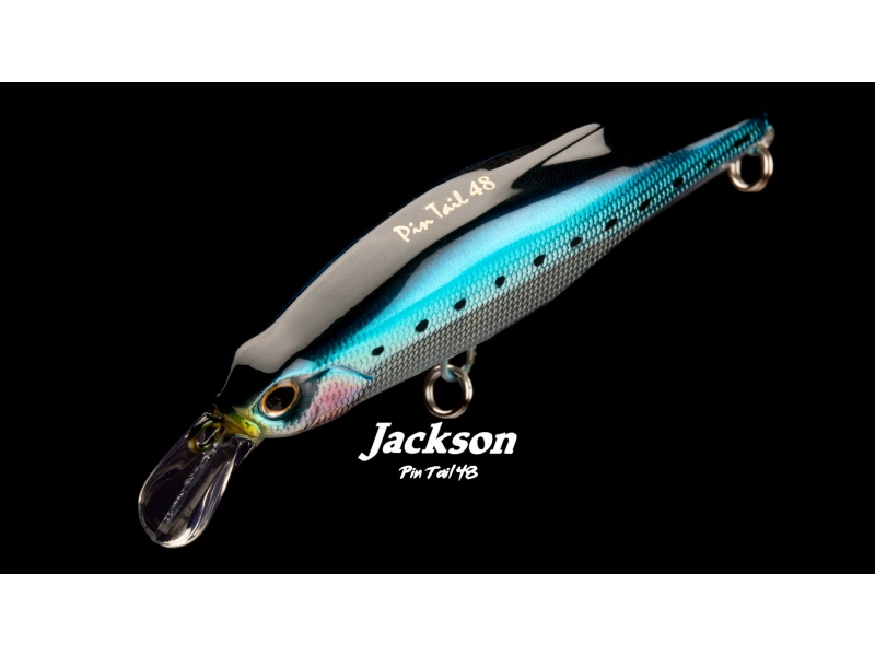 Le Pin Tail 48 Jackson offre une densité record !
