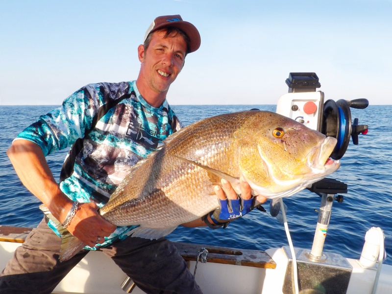 Magnifique denti de 8 kg pêché au downrigger par Fabien Harbers avec un calamar pris à la Soft Full Flash Glavoc DTD 