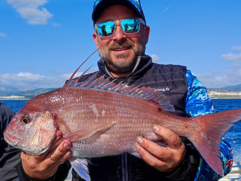 Associés à un Fireball Top Sea, le calamar ou la seiche sont redoutables sur les sparidés carnassiers Associés à un Fireball Top Sea, le calamar ou la seiche sont redoutables sur les sparidés carnassiers
