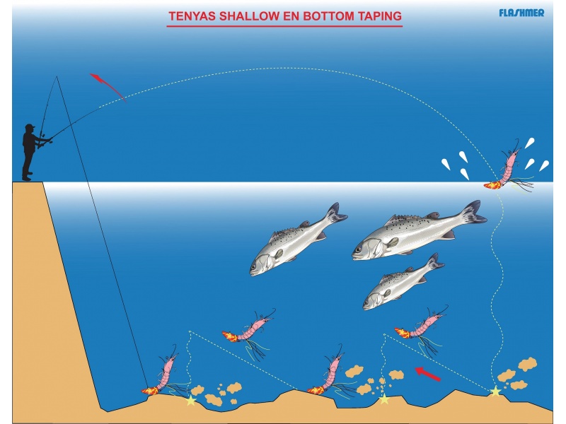 Animation du bord en bottom taping du tenya Shallow