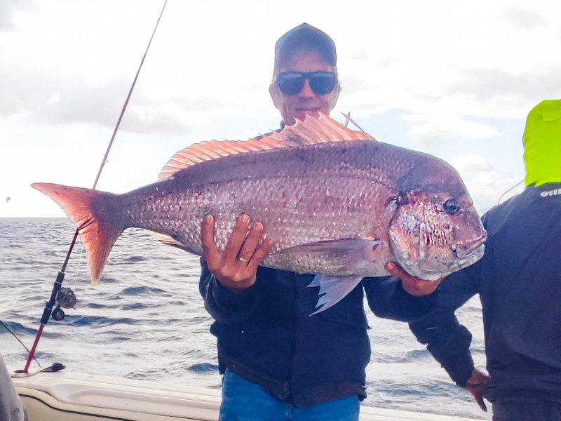 Le moniteur guide de pêche Fabien Harbers avec un magnifique denté rose pris au Fireball Top Sea ! Le moniteur guide de pêche Fabien Harbers avec un magnifique denté rose pris au Fireball Top Sea !