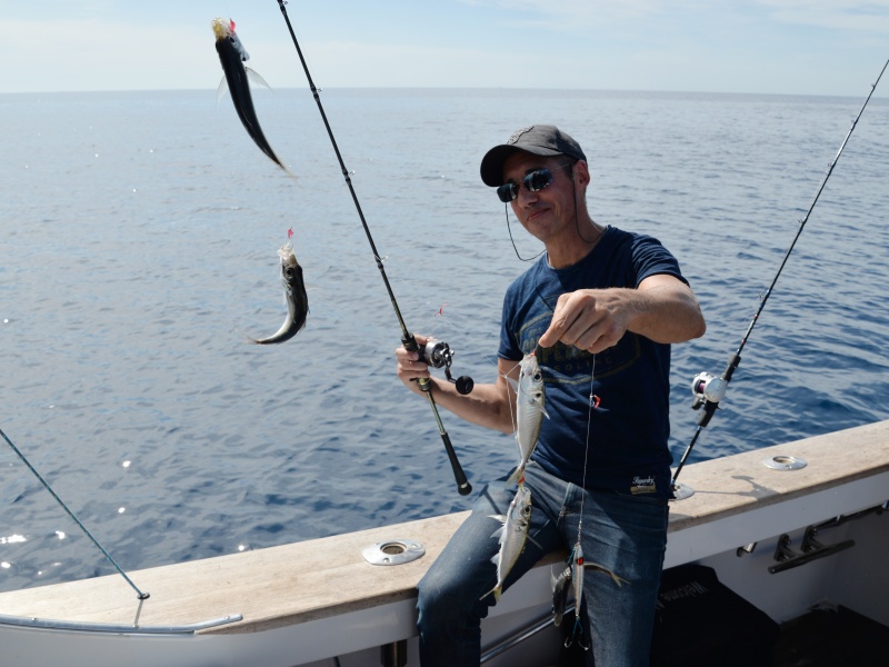 La première étape pour pêcher au downrigger est de se procurer des vifs rapidement !