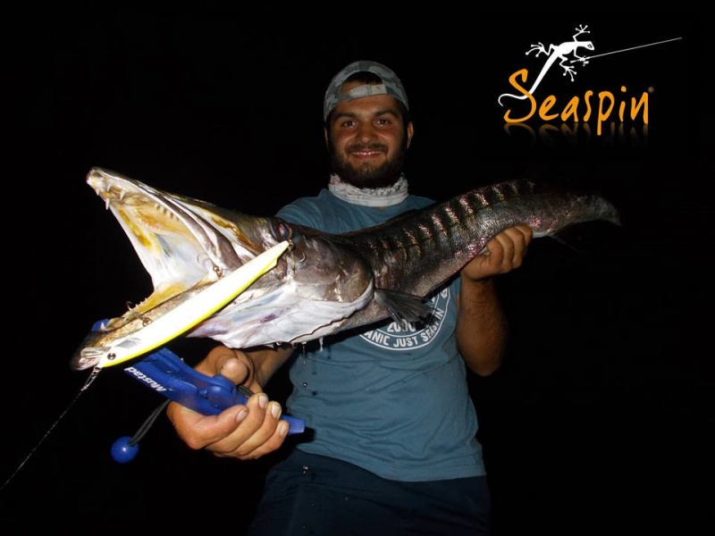 Avec ses 19 cm, ce long minnow Momotti évite que le barracuda coupe le bas de ligne et sélectionne les spécimens !