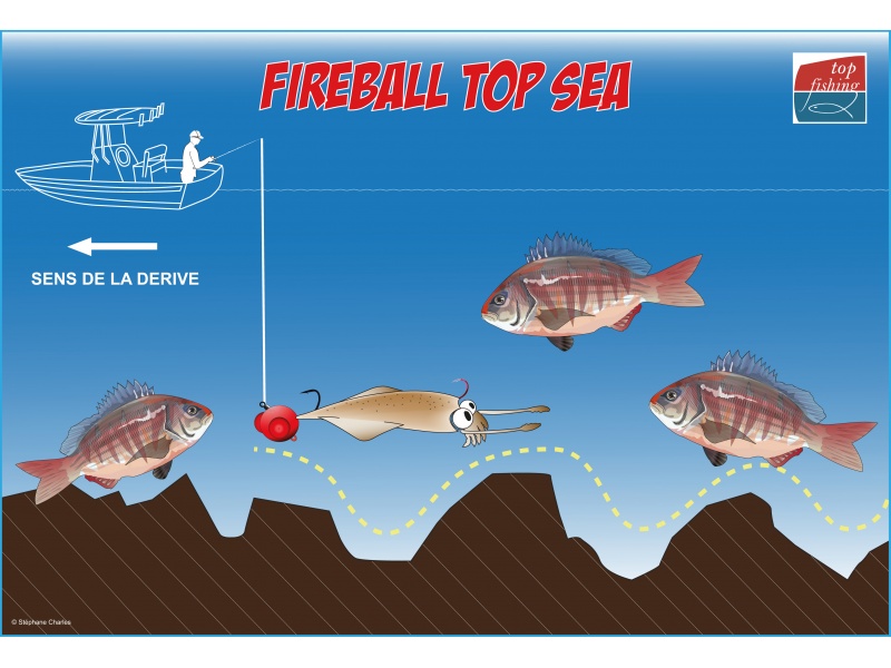 Le moniteur guide de pêche Fabien Harbers avec un magnifique denté rose pris au Fireball Top Sea ! Le moniteur guide de pêche Fabien Harbers avec un magnifique denté rose pris au Fireball Top Sea !