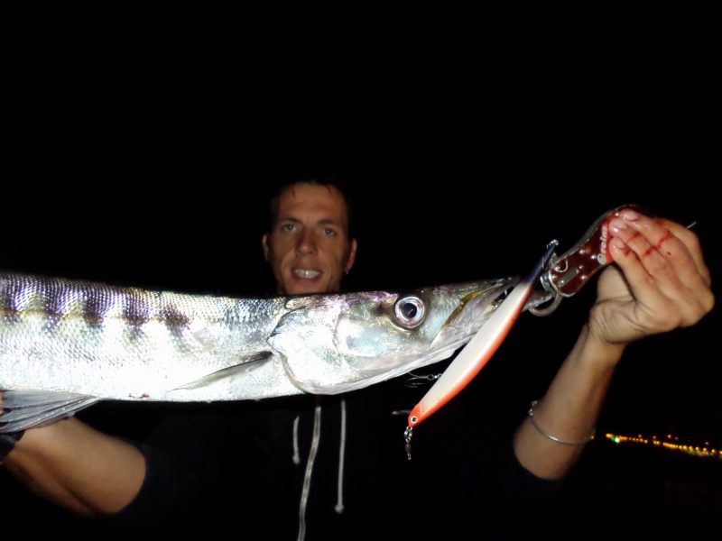 Même avec un fishgrip, un moniteur guide de pêche aussi expérimenté que Fabien Harbers s’est coupé juste en effleurant l’extérieur de la mâchoire de ce barracuda 