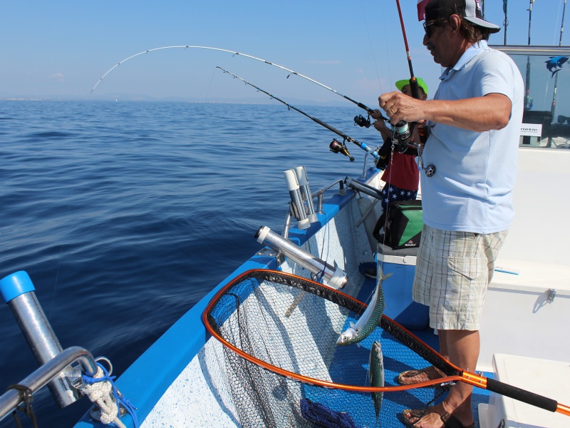 Débutants ou pêcheurs confirmés, vous adorerez la pêche au Sabiki.
