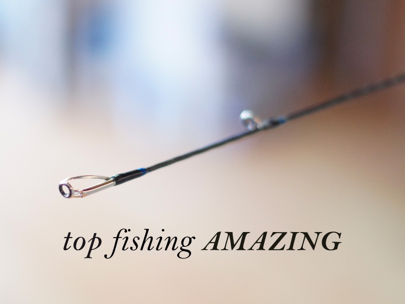 Canne Top Fishing Amazing, les anneaux de têtes