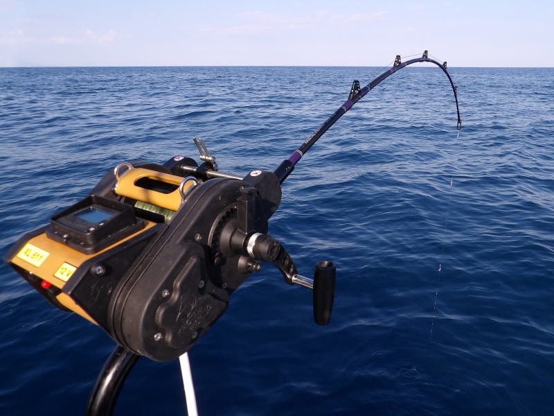 Fabien actionne la récupération maximale du moulinet électrique XL 611 Kristal Fishing pour ferrer le calamar. La canne ploie : pendu ! 