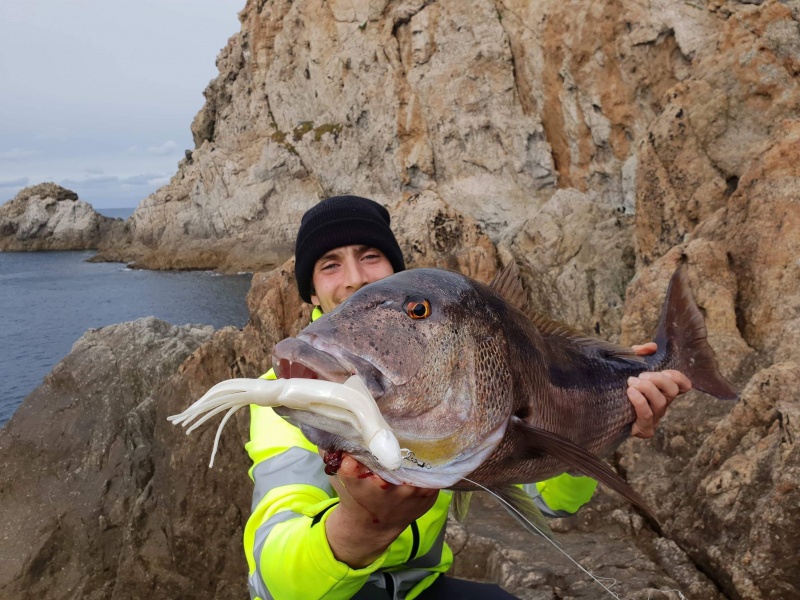 Hervé Calabria pêche un superbe denti du bord à Calvi (Corse), avec un JLC Kraken Star 