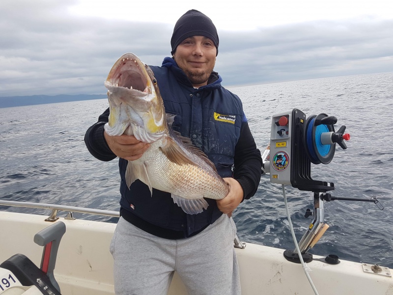 Pascal Trogi, pêche au downrigger en Corse, superbe denti avec l'Italcanna Jig Killer