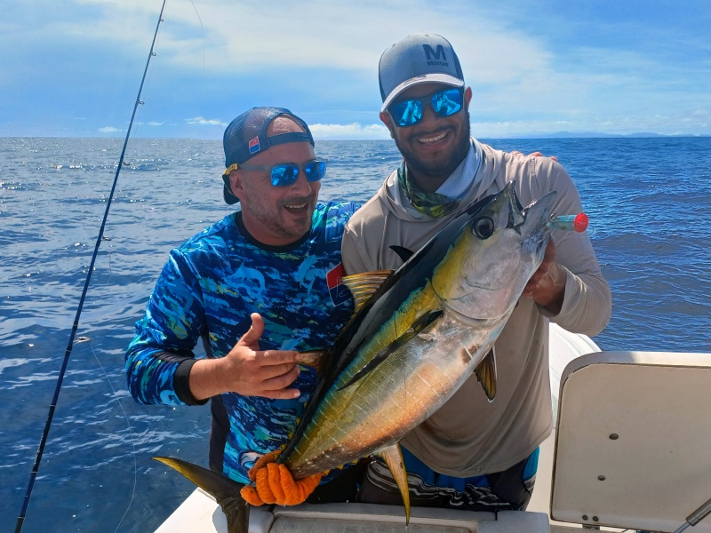 Thon jaune attrapé avec un popper Yo-Zuri lors d'une sortie en mer.