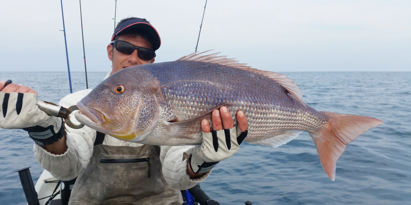 Le Grumpy Fish Glowbite est idéal pour pêcher les sparidés carnassiers tels que ce denti !