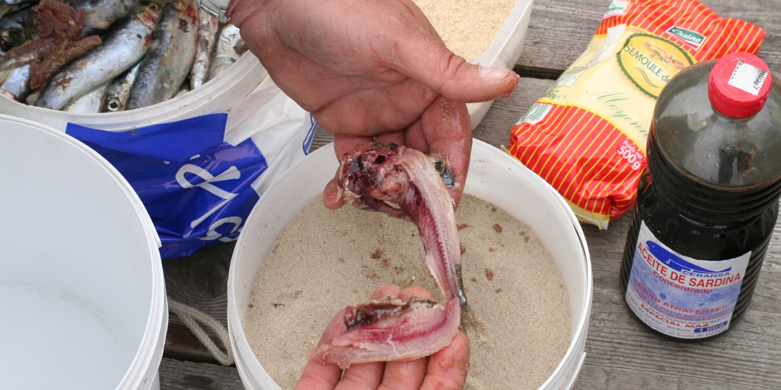 Ces mixtures sont préparées à base d'anchois et de sardine. 